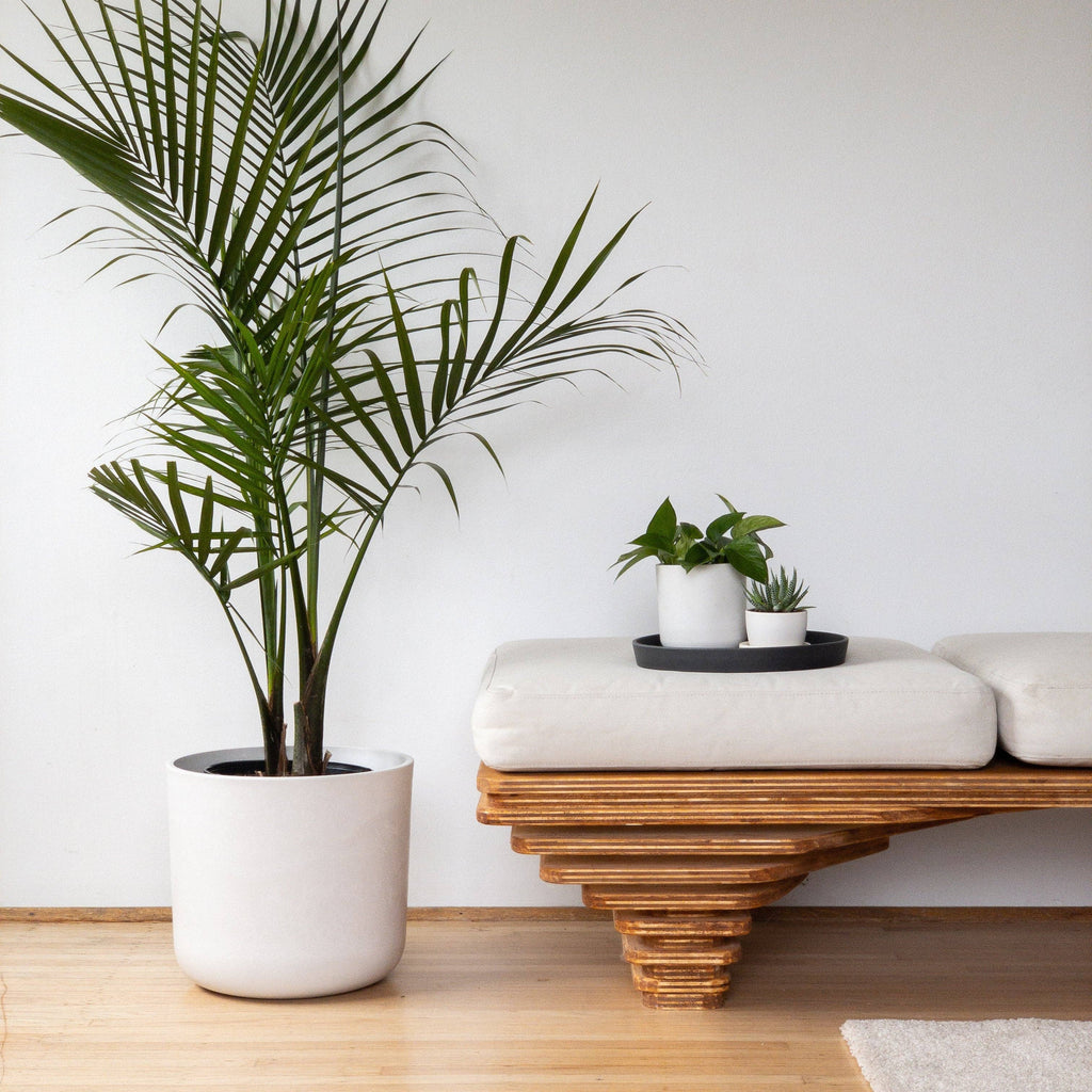 12" Signature Stone Planters & Saucers (Multiple Colors)