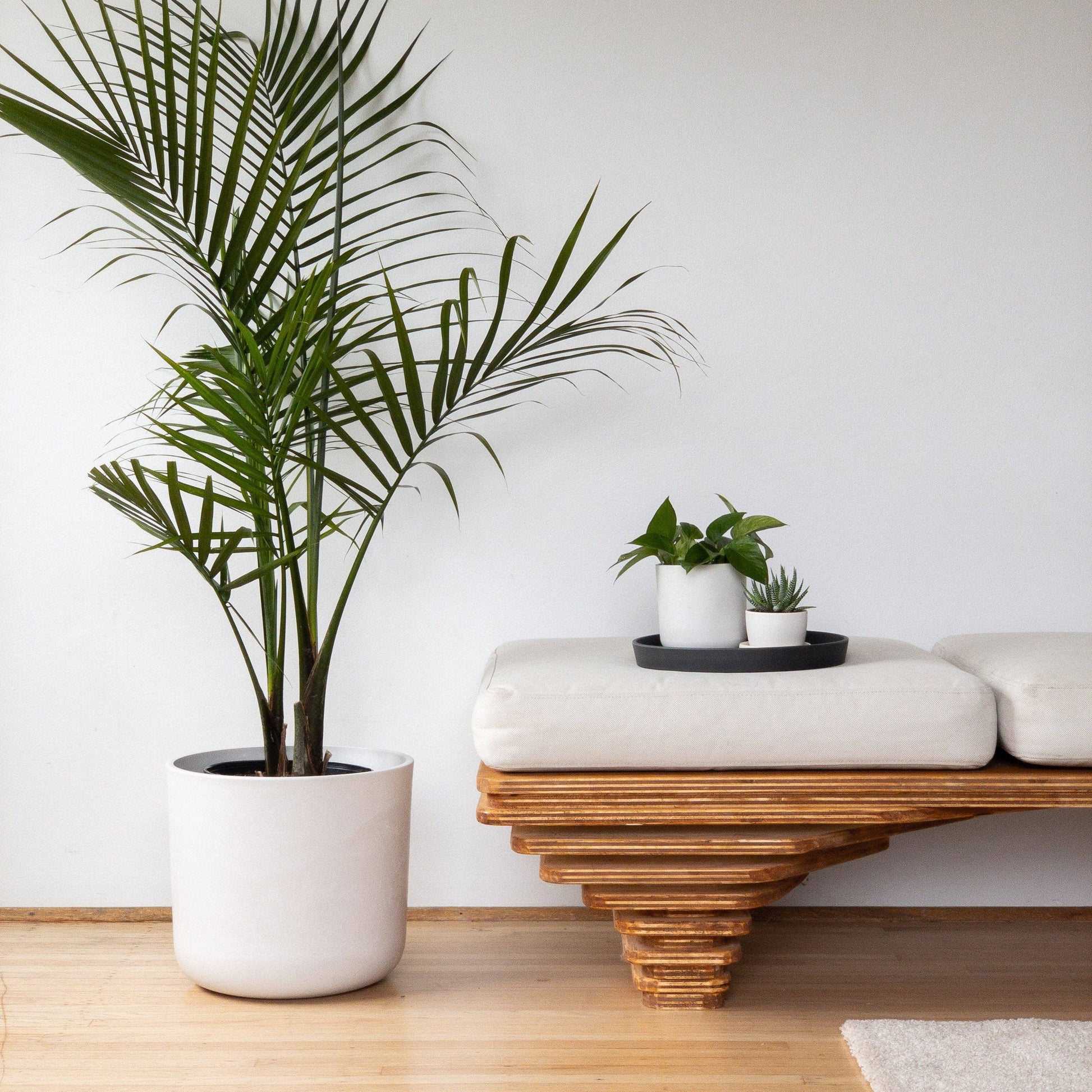 12" Signature Stone Planters & Saucers (Multiple Colors)