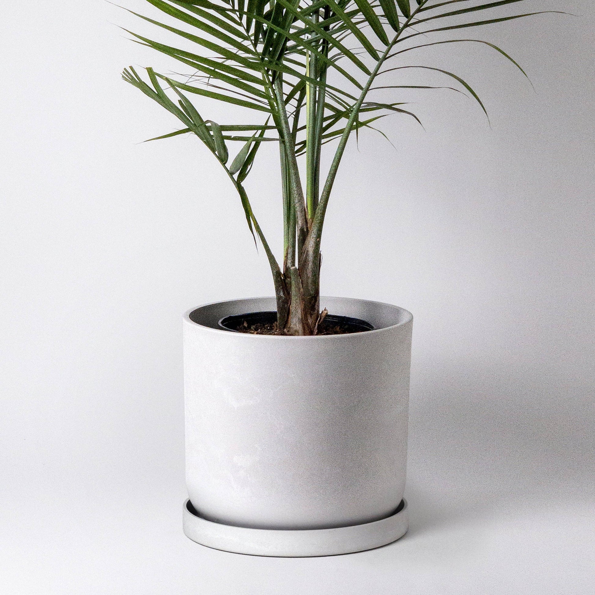 12" Signature Stone Planters & Saucers (Multiple Colors)