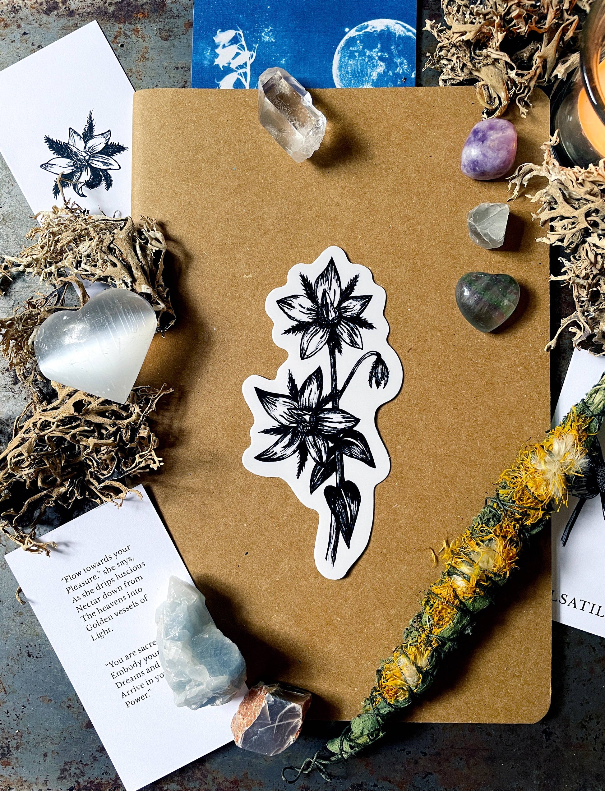 Borage Flower Vinyl Sticker