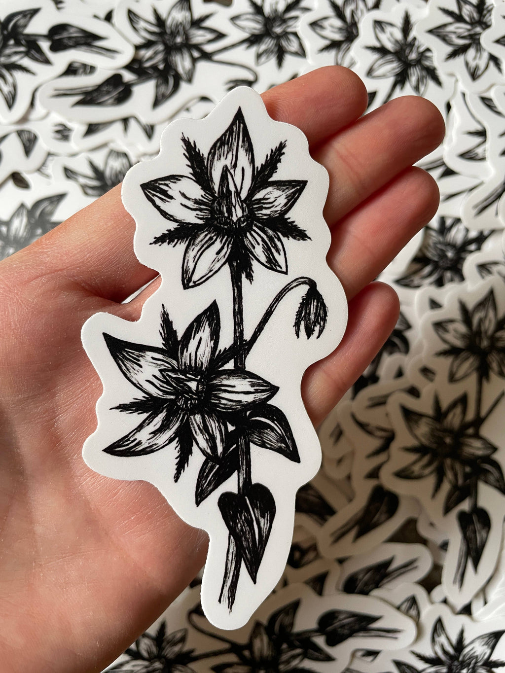 Borage Flower Vinyl Sticker