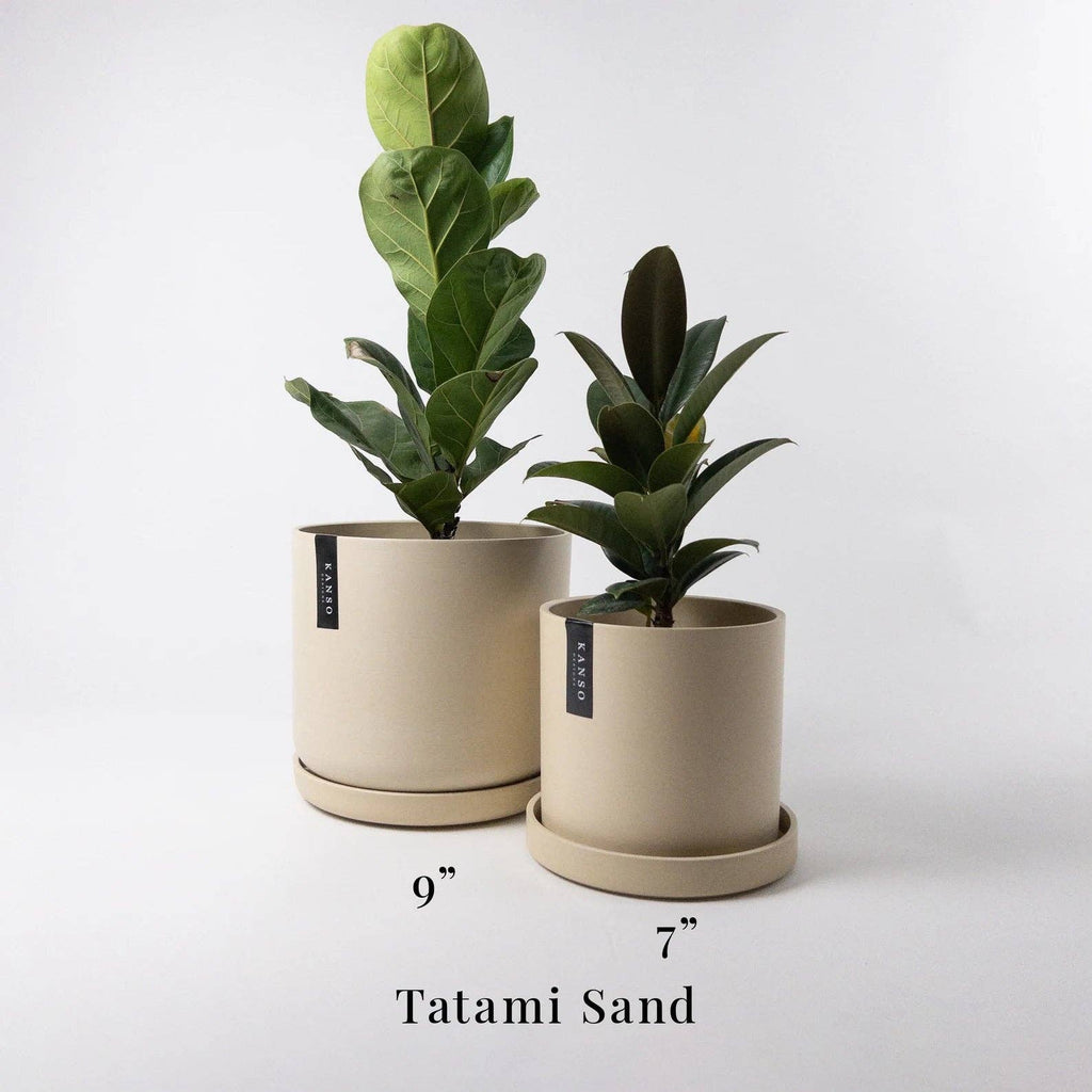 Two Set Planter Pots - 7" & 9"